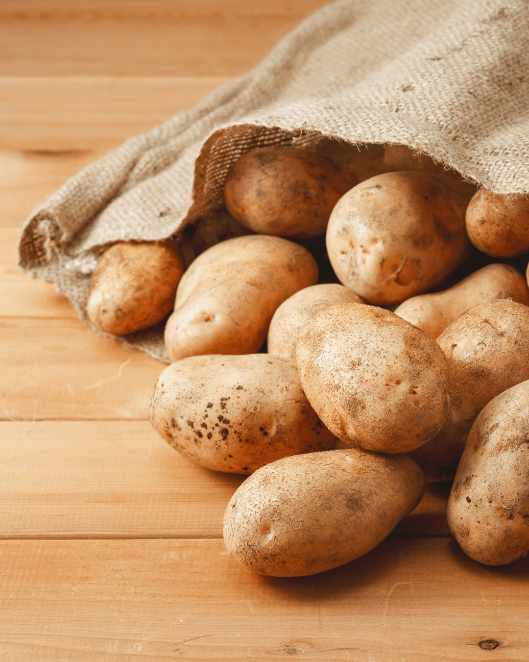 Valle Agrícola (2)